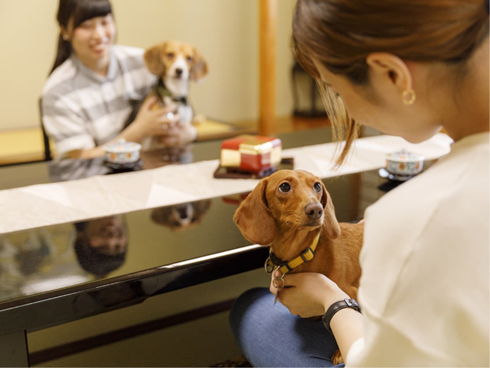 ファミリー★ペット(愛犬・愛猫)と温泉旅行★食事処★スタンダードの季節の和食膳 画像2