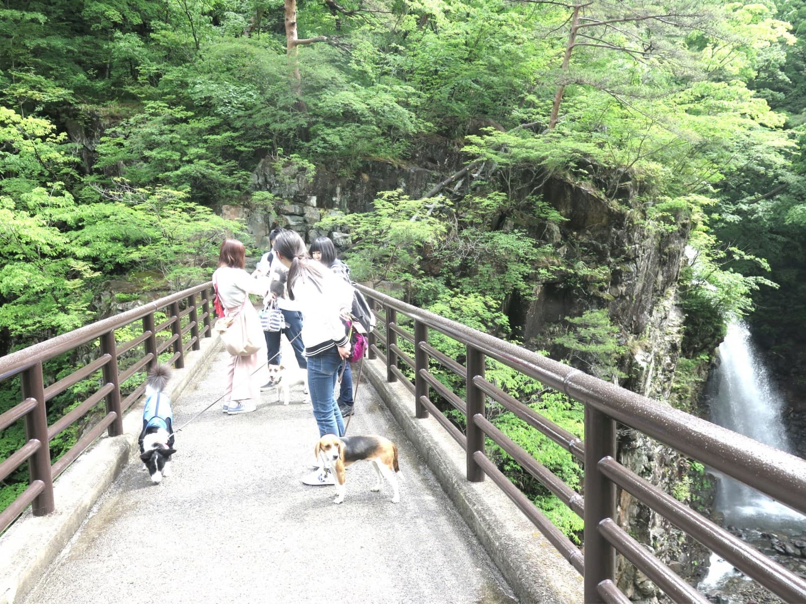 21時までのチェックインで日光・鬼怒川の観光を愛犬・愛猫と満喫プラン【1泊朝食つき】 画像4