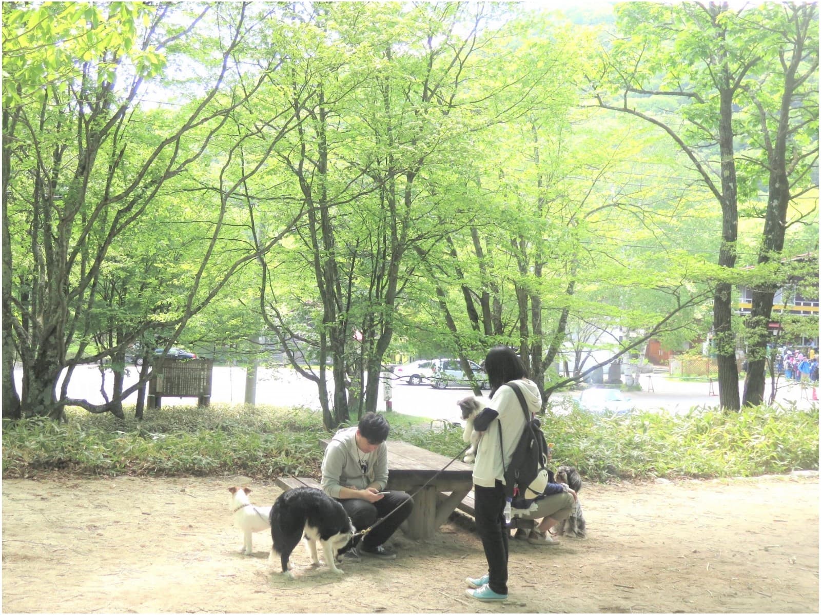 21時までのチェックインで日光・鬼怒川の観光を愛犬・愛猫と満喫プラン【1泊朝食つき】 画像5