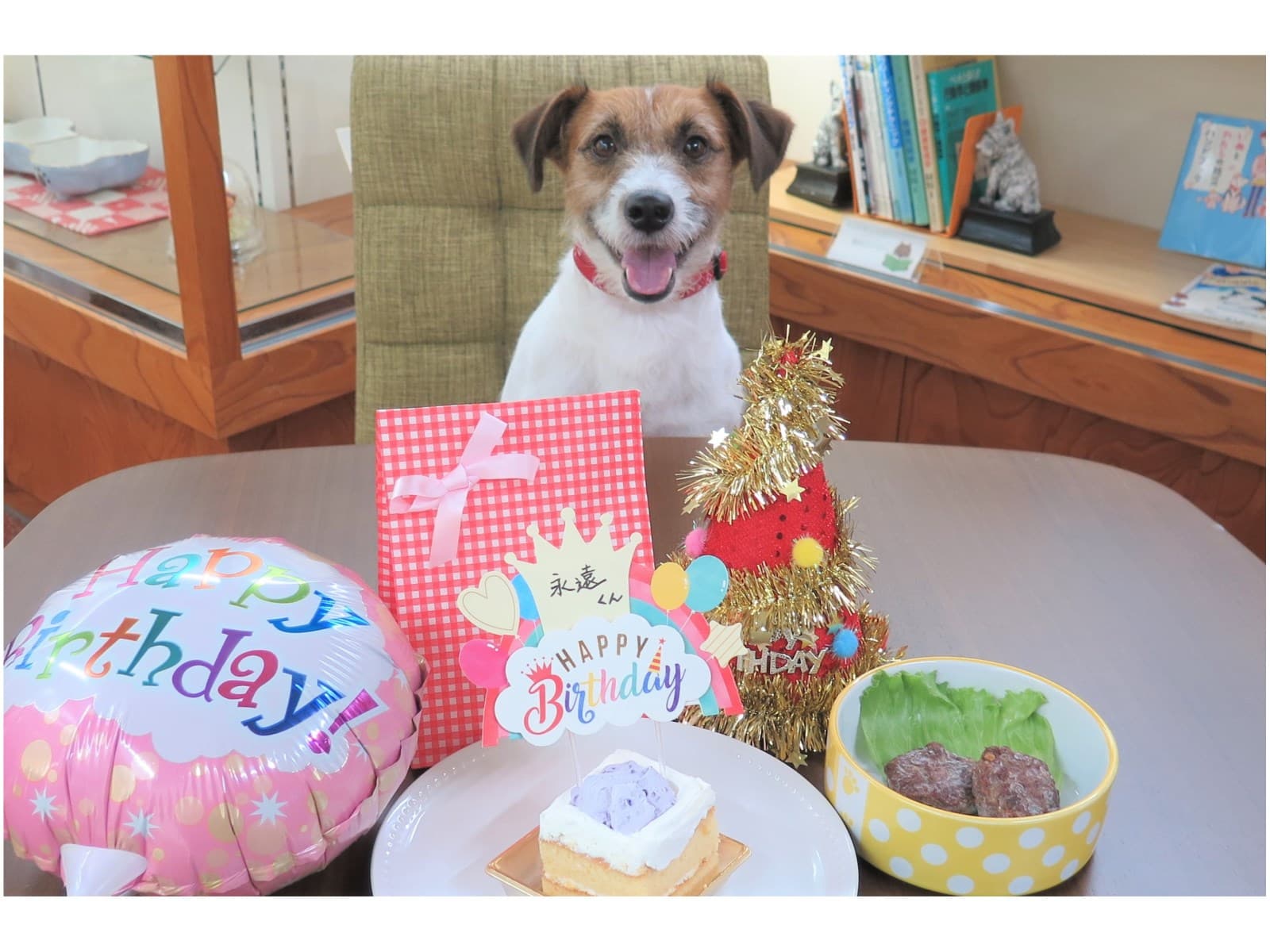 【愛犬・愛猫バースデープラン】年に1度の誕生日をお祝い!ケーキやプレゼントなどの特典つき 画像1