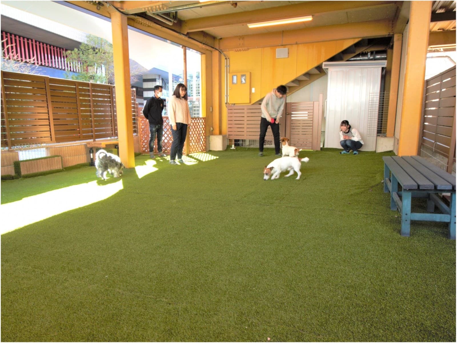 【愛犬(愛猫)とのひとり旅】《ひとり旅にやさしい宿》【部屋食】 画像3