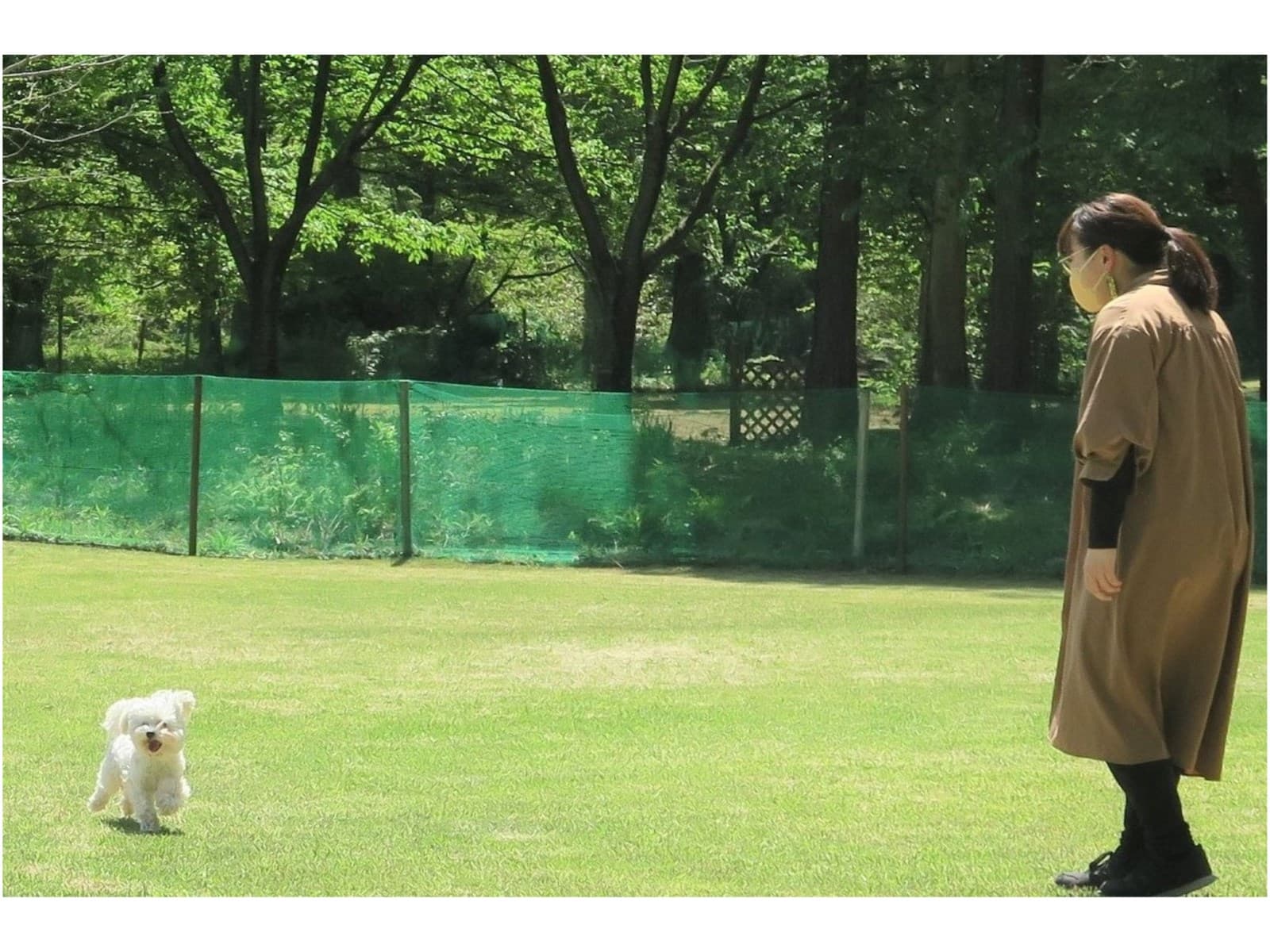 【安心・安全でお得な愛犬(愛猫)との一人旅プラン】~お食事処 画像1