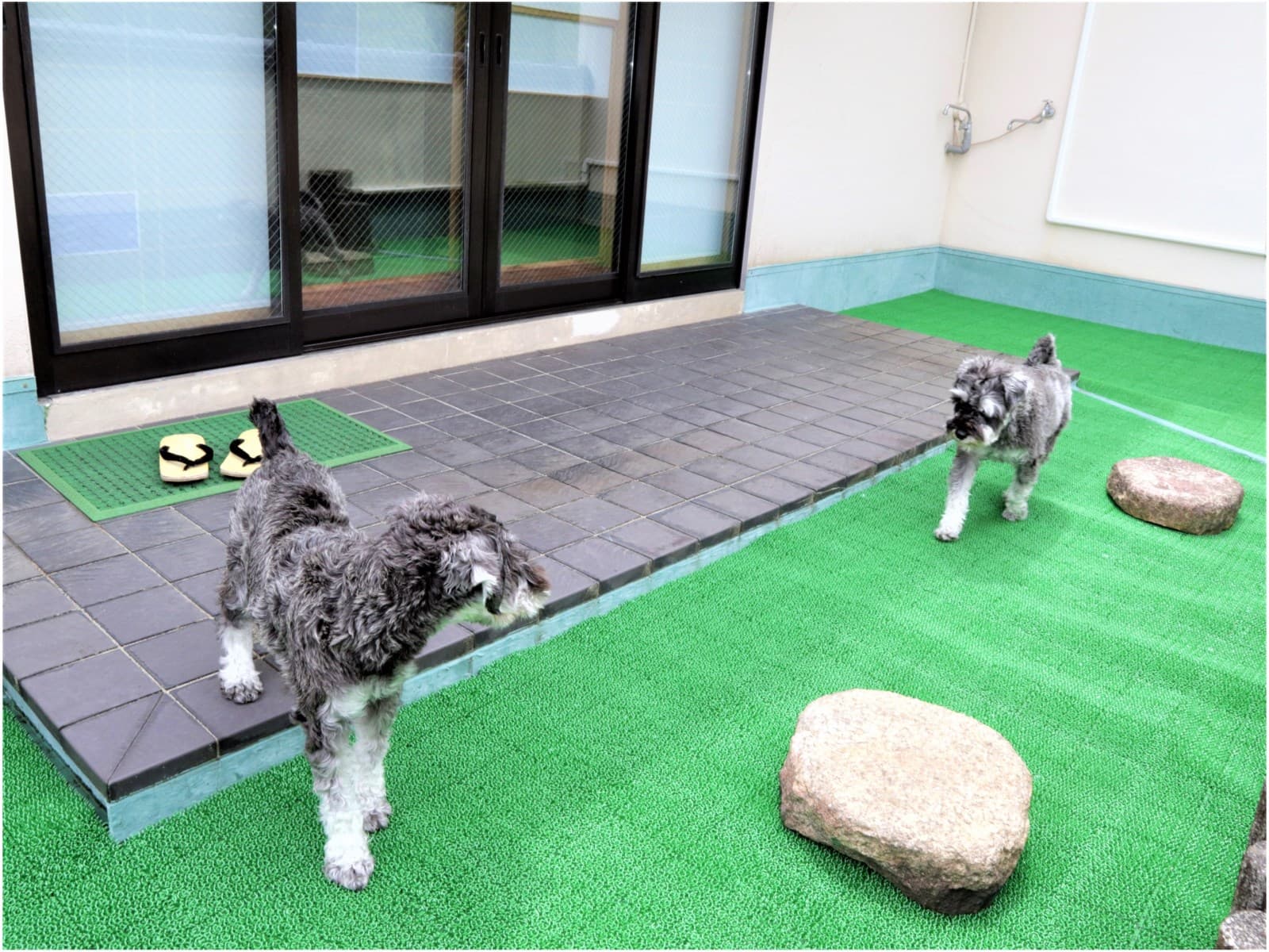 【お部屋食】ペット(愛犬・愛猫)ちゃんと温泉旅行★グレードアップの季節の和食膳 画像2
