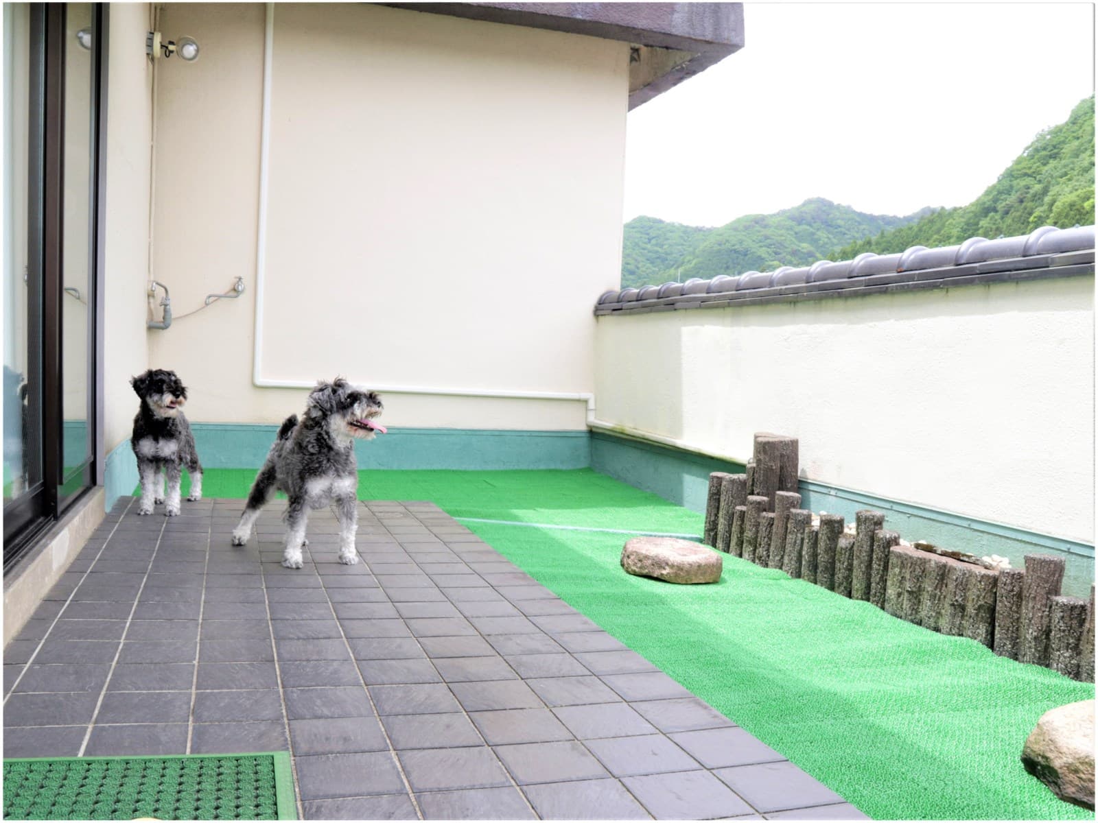 【お部屋食】ペット(愛犬・愛猫)ちゃんと温泉旅行★グレードアップの季節の和食膳 画像1