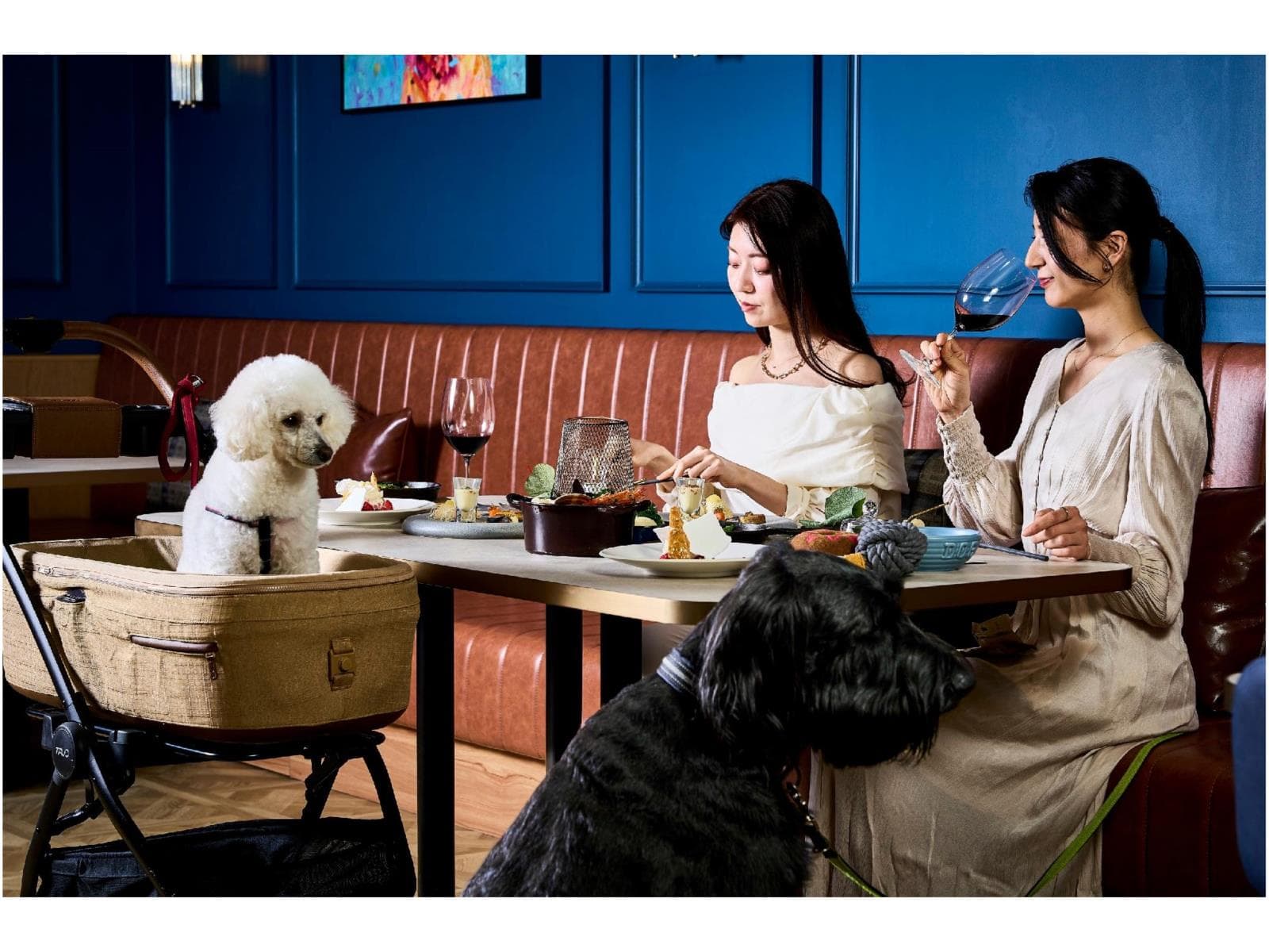 Doggy's Coast Stay【夕朝食付】 画像1