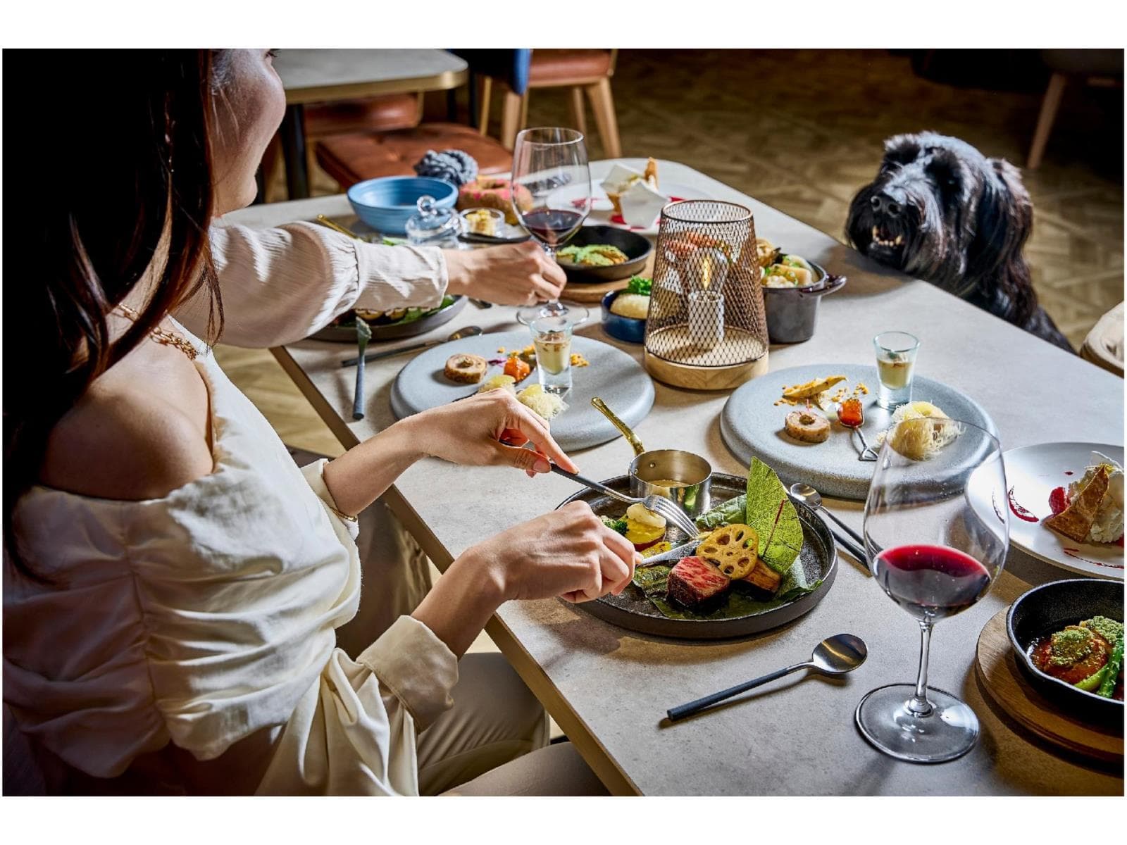 Doggy's Coast Stay【夕朝食付】 画像2