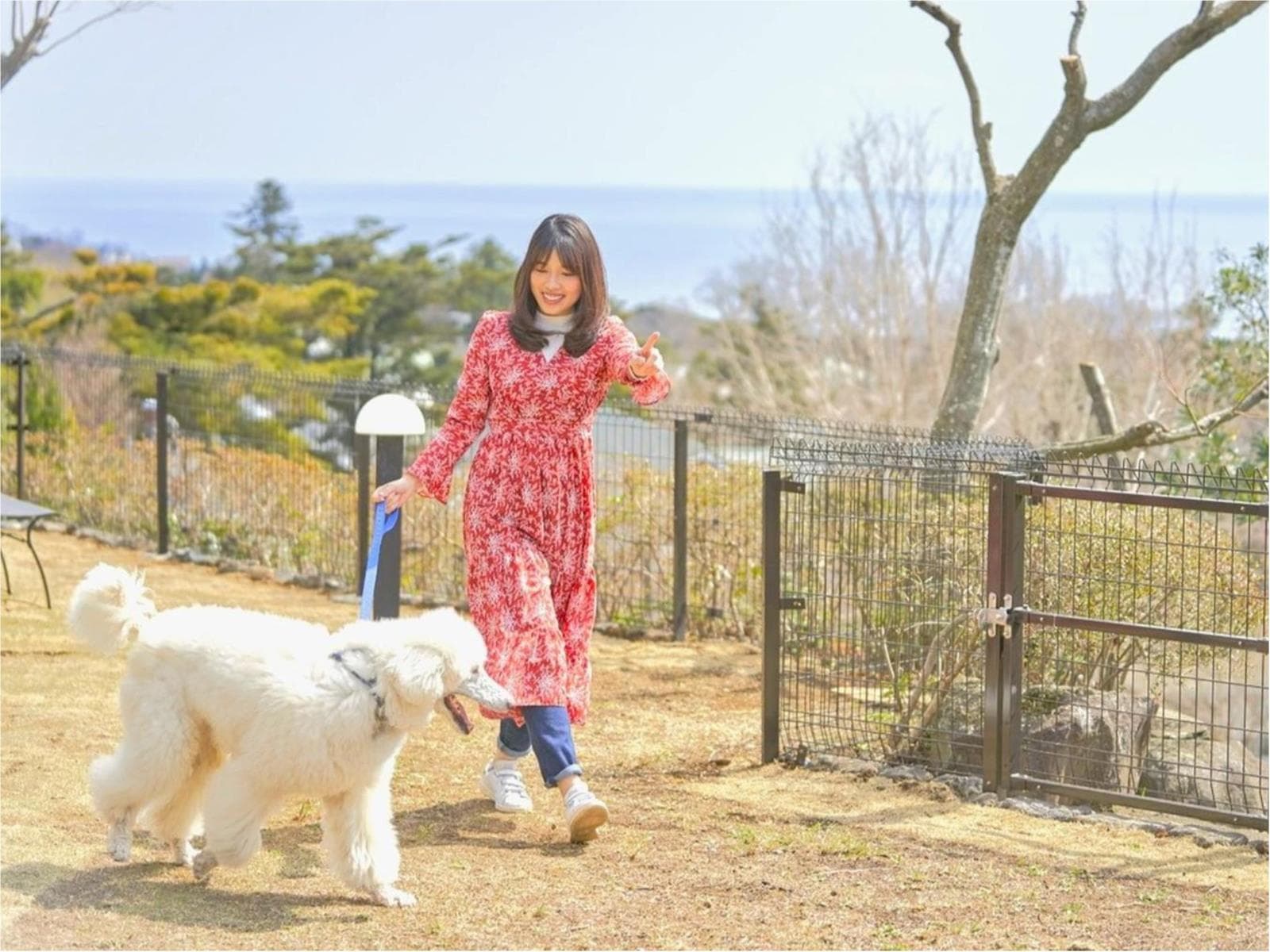 【スタンダードプラン】『海の恵み』伊豆名産の旬食材を味わい尽くす~美食和会席料理~<朝食付き> 画像3