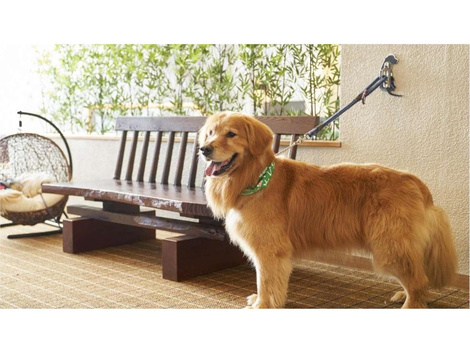 【スタンダードプラン】愛犬と過ごすリゾートライフ<食事なし> 画像4