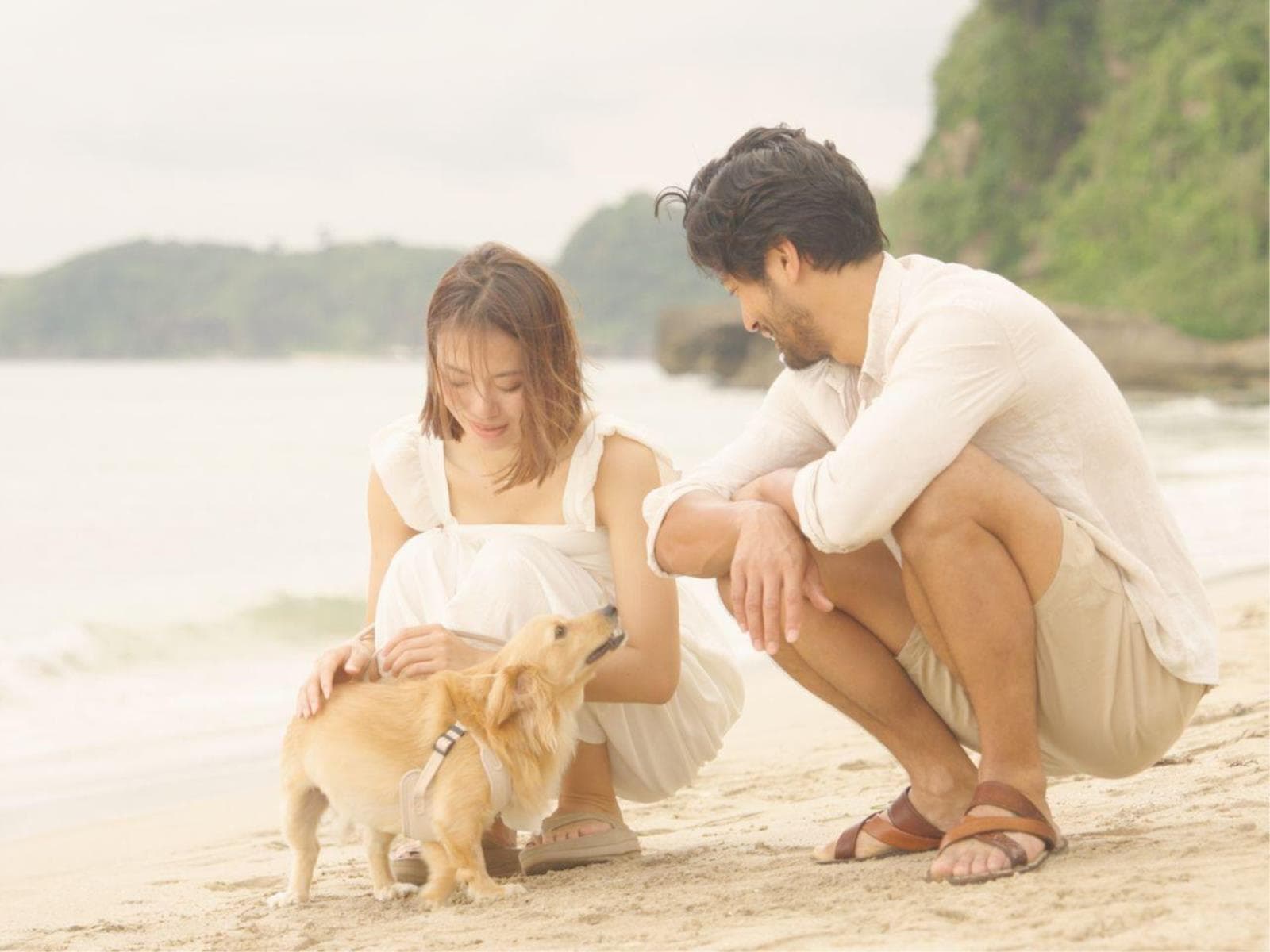 愛犬と旅するビーチリゾート~ワンちゃんと一緒にゆったりお泊り!(朝食付き) 画像5