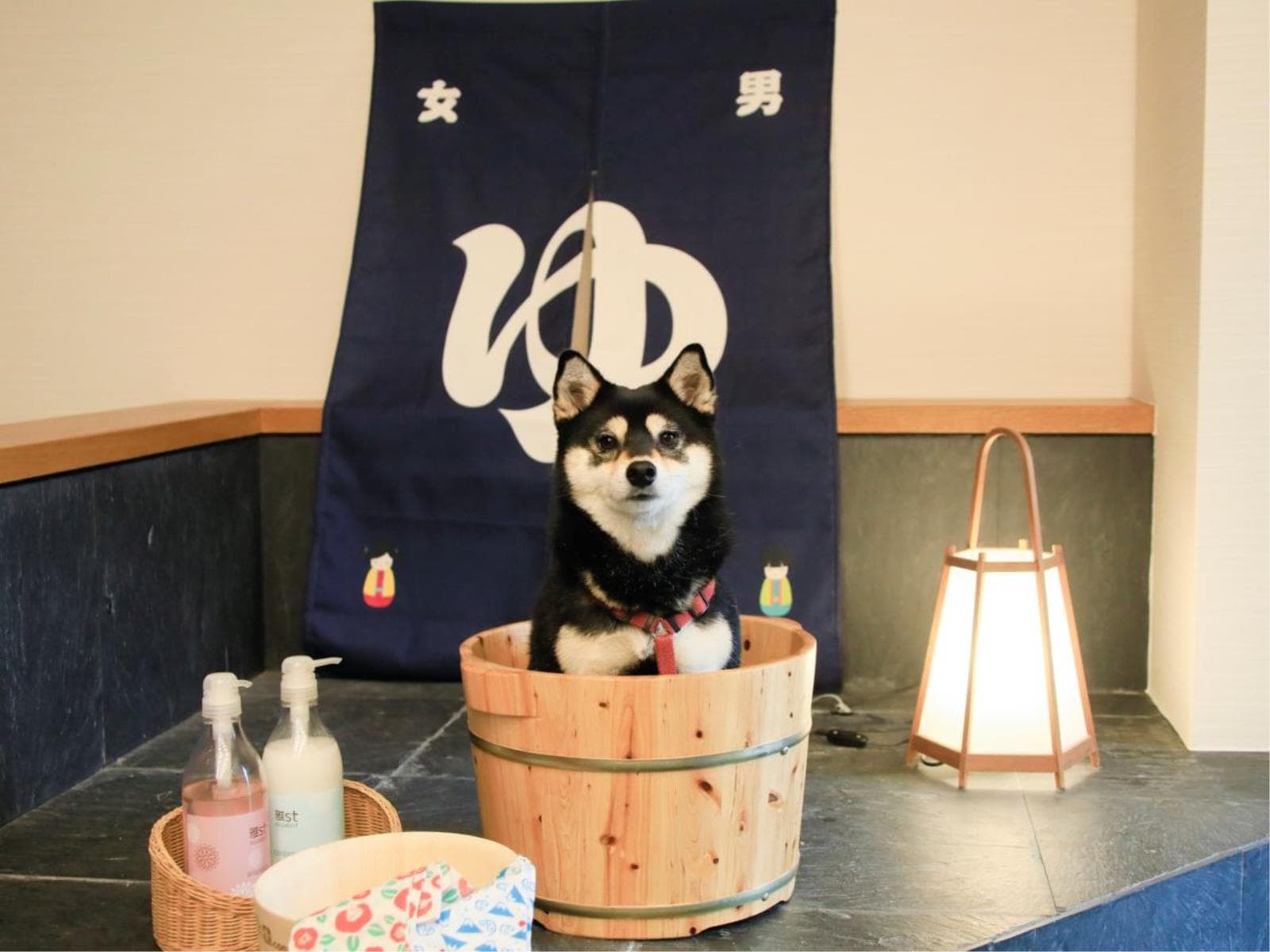 【Xmas限定】\Happy Holidays!/クリスマスを彩る3大特典付きプラン<★基本コース> 画像1