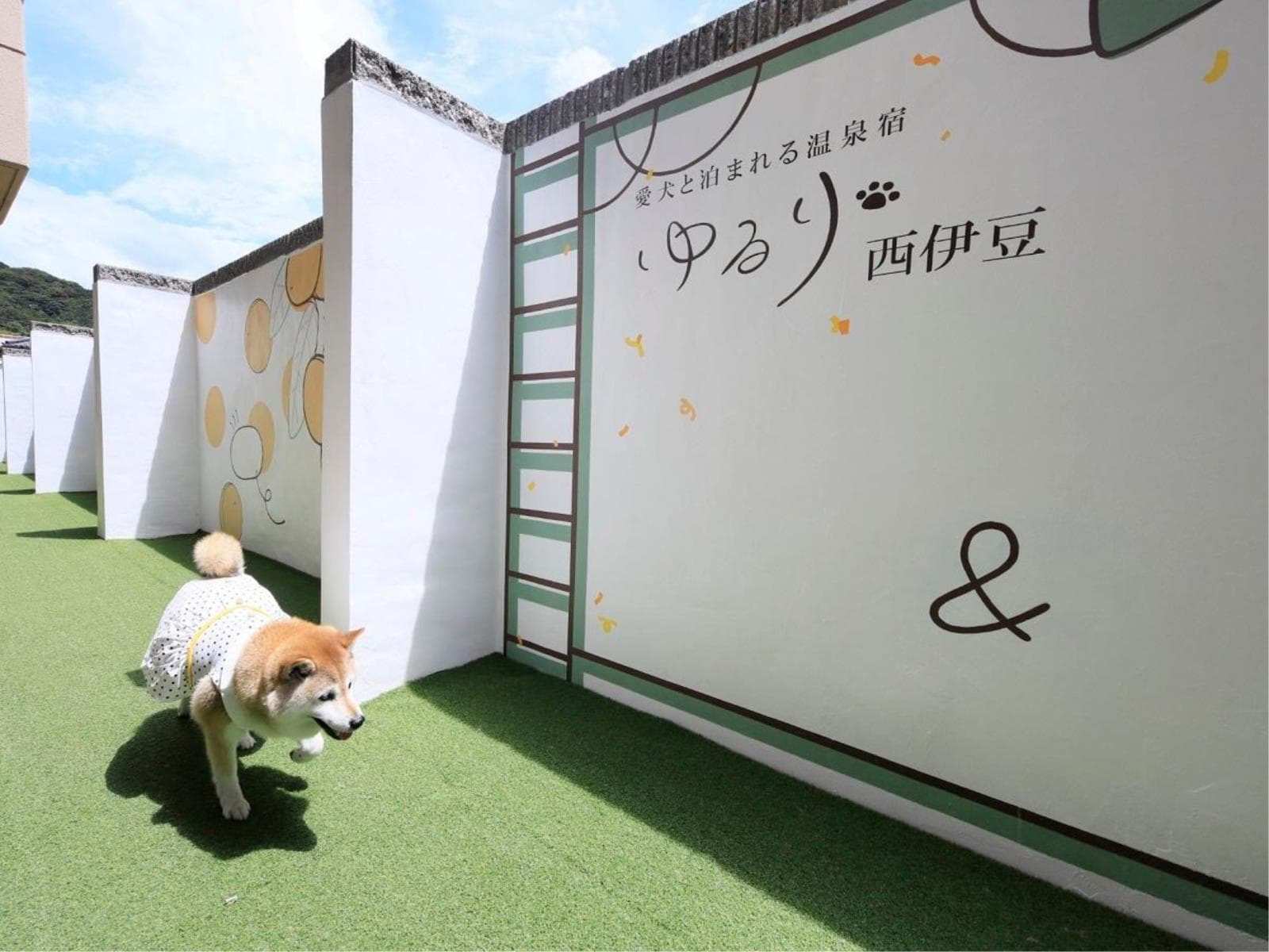 【早期割30×特選】早めのご予約でお一人様2,200円OFF&ワンちゃん利用料半額<■特選コース> 画像3