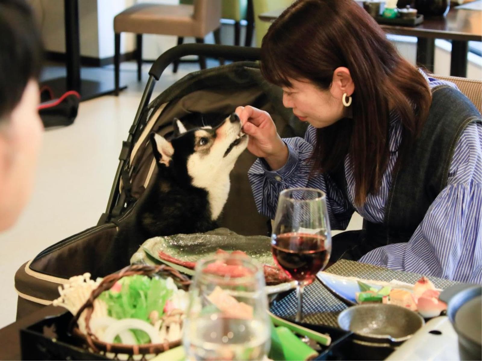 【早期割30×特選】早めのご予約でお一人様2,200円OFF&ワンちゃん利用料半額<■特選コース> 画像4