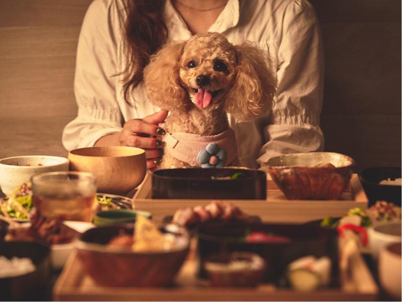 ■ペットと泊まれる宿 1泊2食付き【スタンダード】夕食19:30/朝食9:00 画像3
