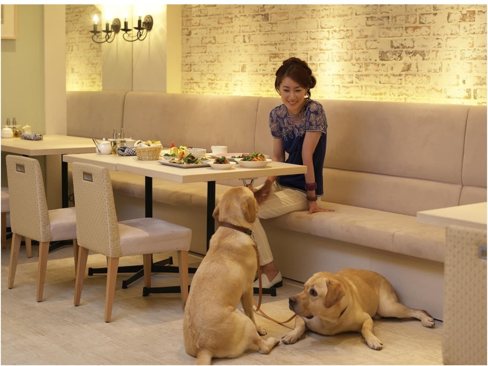 【スタンダードプラン/朝食ビュッフェ付き】すべての時間を愛犬と共有できるリゾートで最高のひと時を 画像2