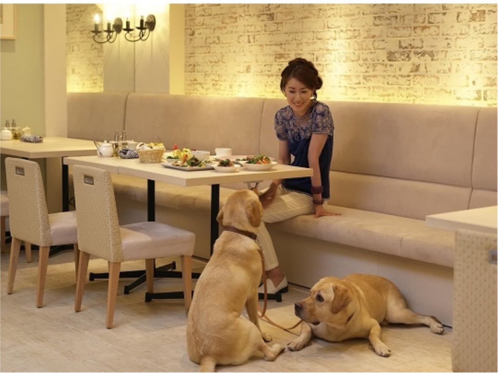 【夕・朝食ビュッフェ付き】すべての時間を愛犬と共有できるリゾートで最高のひとときを 画像1