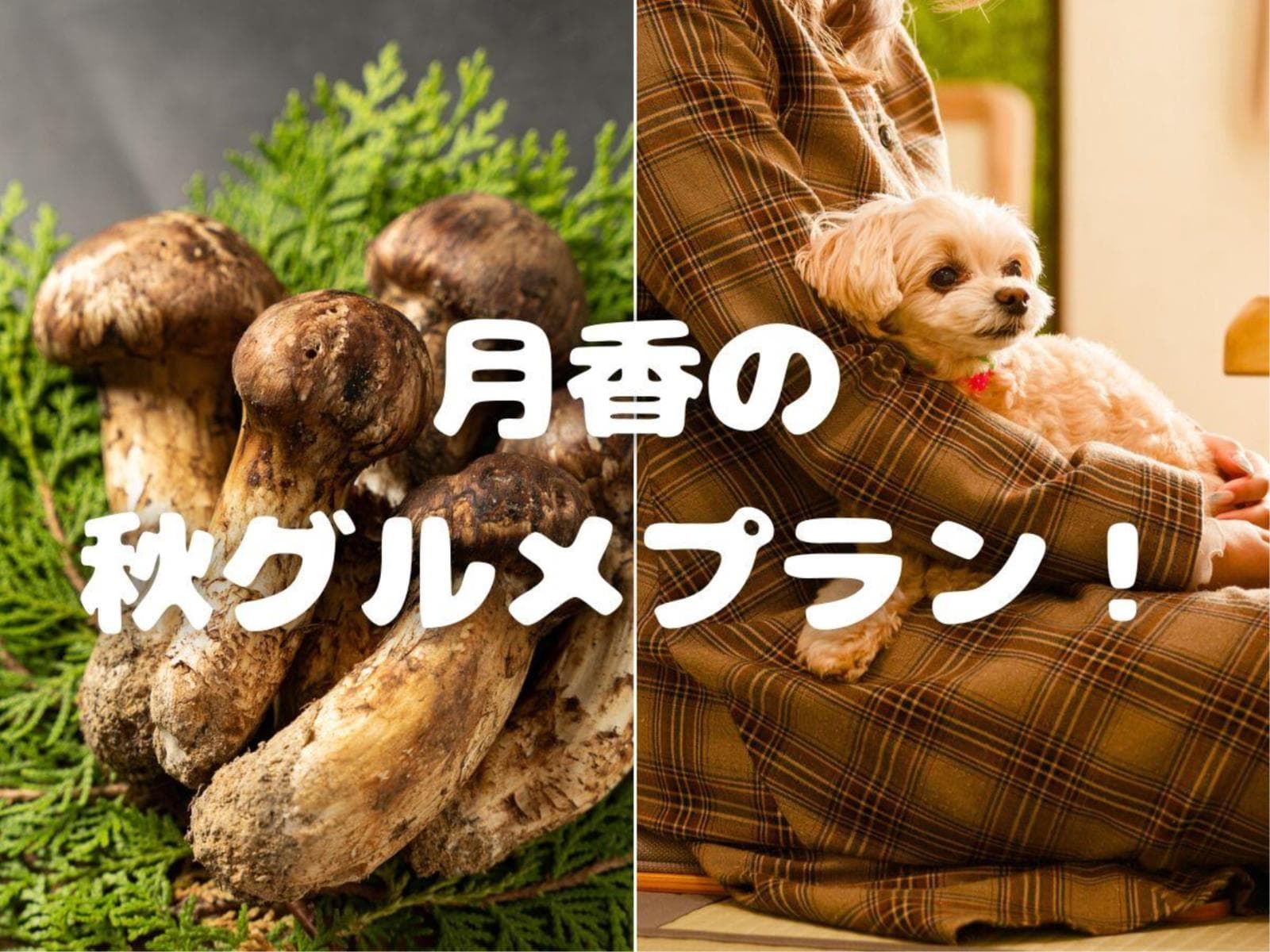 【秋の味覚会席プラン】『松茸土瓶蒸し』や『松茸と若狭牛の朴葉焼き』!松茸とご当地ブランド若狭牛の共演 画像1