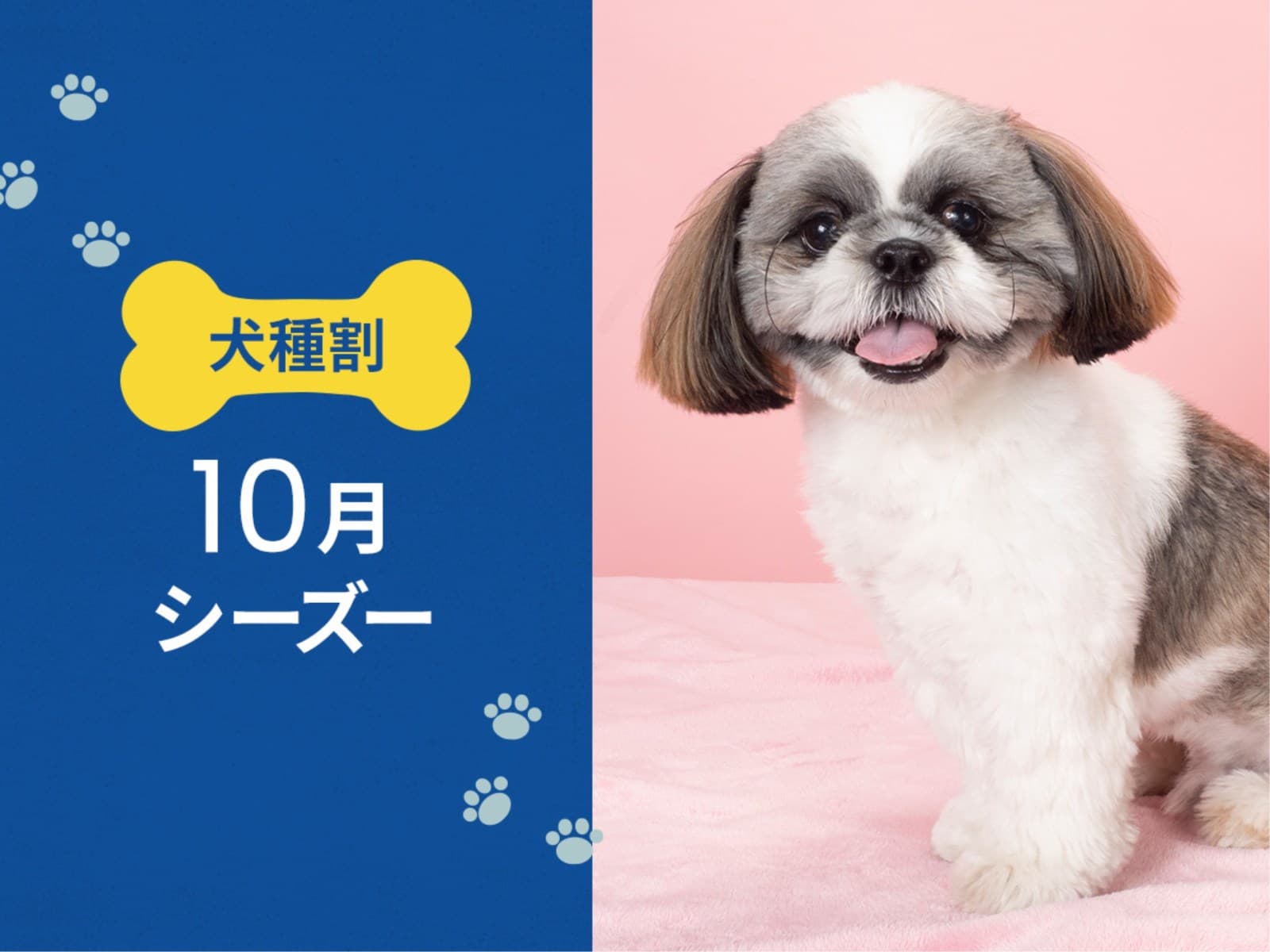 毎月開催! お得な犬種限定割プラン 【10月はシーズー又は 同犬種MIX】 < 素泊り > 画像1
