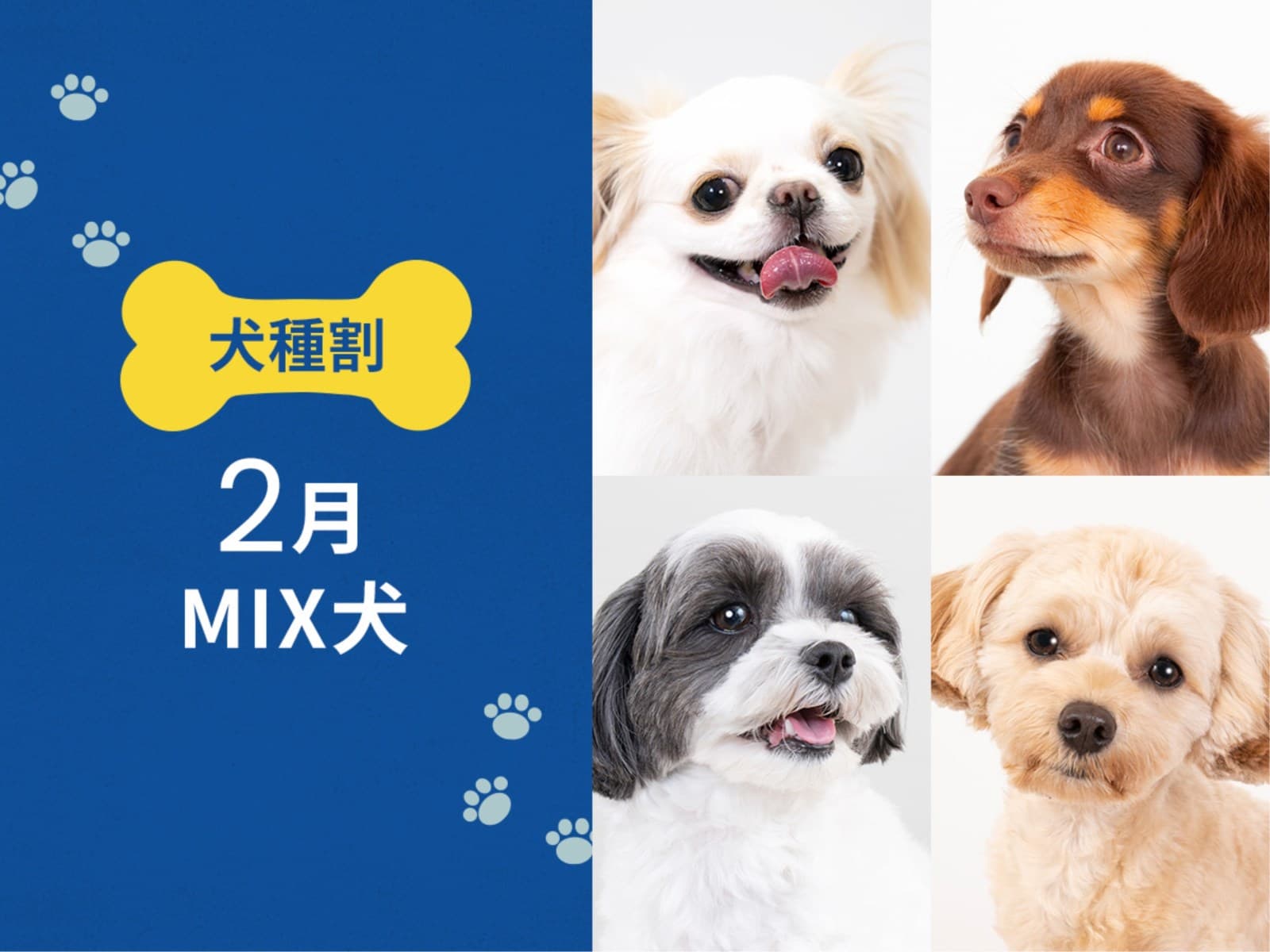 毎月開催! お得な犬種限定割プラン 【2月はMIX犬】 < 朝食付 > 画像1